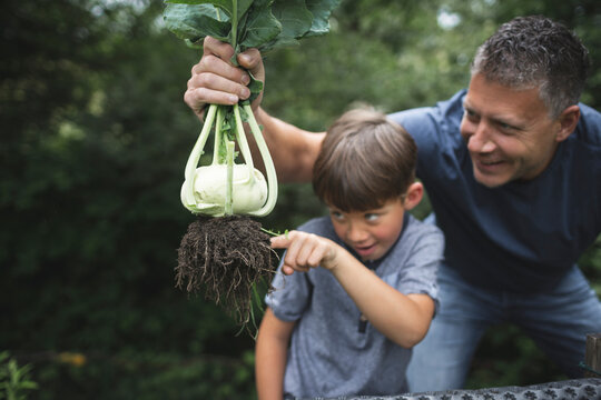Man holding kohlrabi while playful boy pointing at root in garden