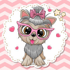 Yorkshire Terrier with a bow on a pink background