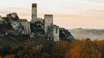 Obraz premium The ruins of the castle in Olsztyn
