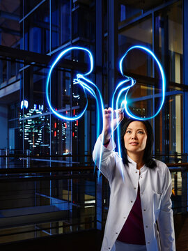 Mature female nephrologist light painting kidney in laboratory at hospital
