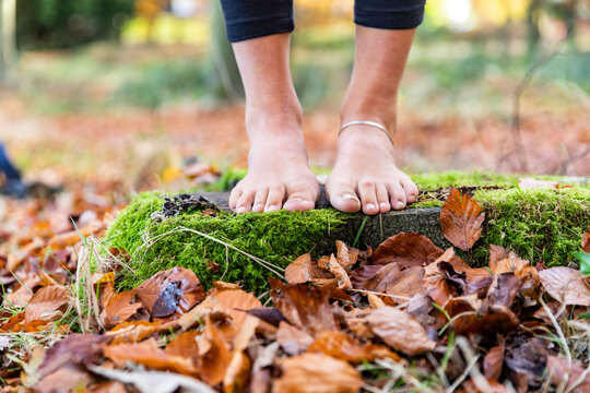 Woman standing barefoot on rock amidst autumn leaves in Cannock Chase forest 