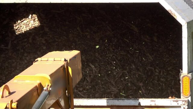 Slow-motion shot of wood chips expelled from the chute of a wood chipper into the back of a truck.