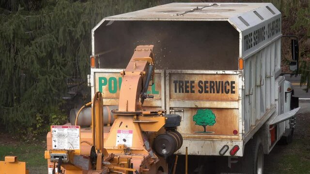 Wood chips are expelled from the chute of a wood chipper into a truck bed.