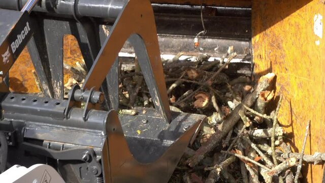 Close-up of a front-end loader pushing branches into the mouth of a wood chipper.