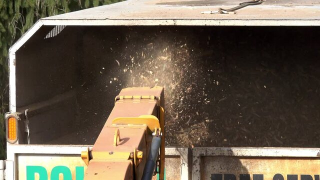 Close-up of wood chips expelled from chute of wood chipper into the back of a truck.