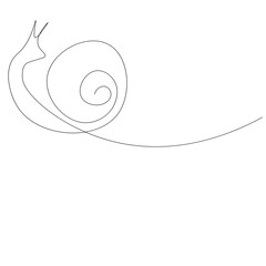 Snail on white background, vector illustration