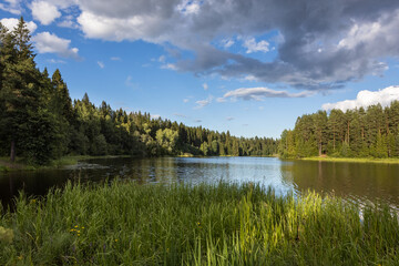 Fototapeta premium Clouds are reflected in the river. A coniferous forest grows on the opposite bank.
