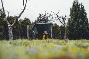Final garden work of autumn. Green wheelbarrow in the garden. Garden wheelbarrow full of dry...
