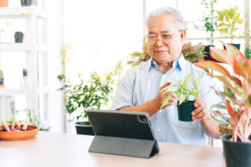 Asian retirement grandfather live on a tablet to sell plants. Enjoy taking care of plants. Retirement hobby and lifestyle. Grandfather work from home. Concept of quarantine.