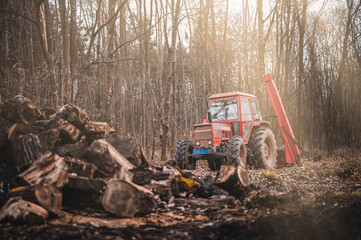 Fototapeta premium Old red tractor in autumn forest. Forestry tractor or forestry tractor for harvesting wood in the forest.