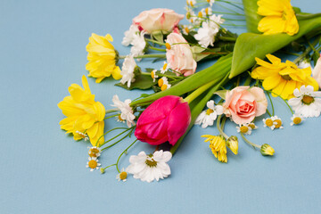 large varied spring bouquet on pastel blue background with copy space. Close-up . Floral minimalism. Spring holidays concept