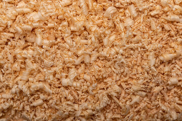 wood shavings background top view