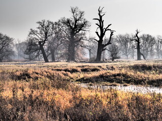 OLYMPUS DIGITAL CAMERA © Piotr