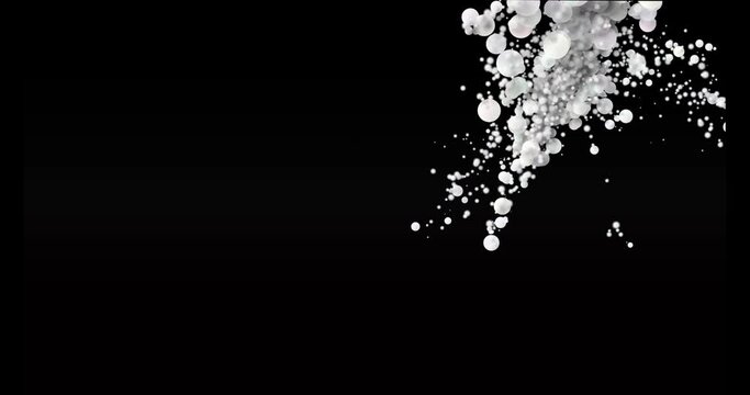 Big and small abstract cirles as particles in liquid simulation. Fluid organic footage with small and big elements as drop and bubble in balck environment. Abstract falt background in white and black