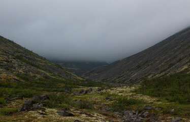 Scenic view of tundra in summertime with mountains background and peak in