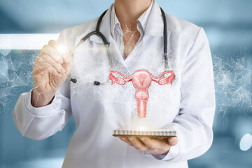 Uterus examination diagnosis concept.