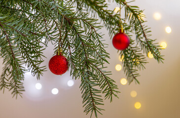 Christmas tree branches and red balls on bokeh background.  Christmas, winter, new year  composition