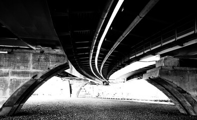Urban lizard. Black and white view under the highway bridge.