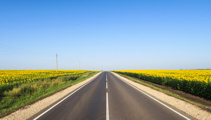 New asphalt road surface on the background of green and yellow fields to the horizon. The construction site for the road works. Highway on the background of a rural landscape        