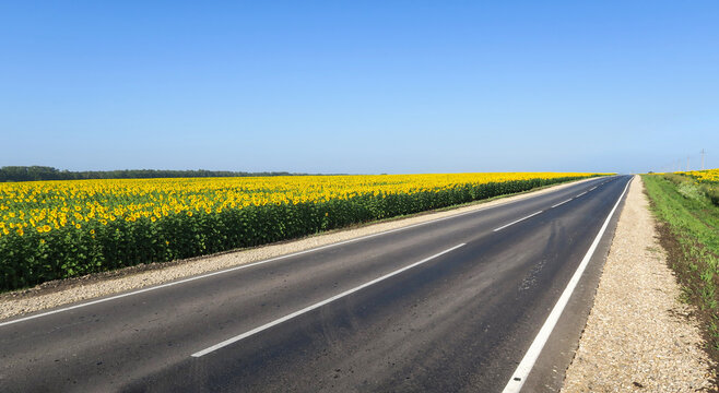 New asphalt road surface on the background of green and yellow fields to the horizon. The construction site for the road works. Highway on the background of a rural landscape        