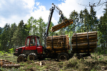 Waldsterben - Borkenkäfer, moderner Vorwarder räumt Totholz aus einem Fichtenbestand, forstwirtschaftliches Symbolfoto.