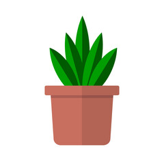Plant in pot flat icon. Vector Illustration