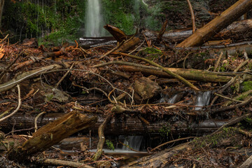 Waterfall near Kouty nad Desnou village in summer day