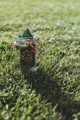 Christmas decorations in a jar with ribbon in the grass in a garden