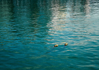 Mare inquinato con rifiuti nautici galleggianti 