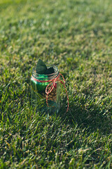 Christmas decorations in a jar with ribbon in the grass in a garden