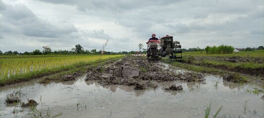 plowing the fields with a tractor in the morning