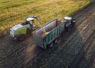 Silomaisernte - Luftbild. Landwirtschaftliches Symbolfoto.