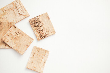 wood texture birch bark. natural background. top view. 