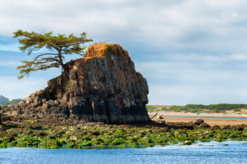 Intertidal Rocks at Siletz Bay Park in Lincoln City, Oregon