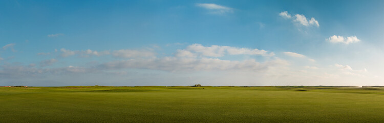 Naklejka premium background of green grass