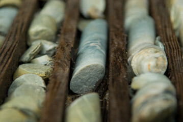 trays of core samples