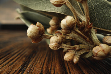 Macro photo of bay leaf spice on table