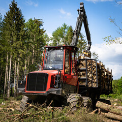 Waldsterben - Borkenkäfer, moderner Vorwarder räumt Totholz aus einem Fichtenbestand,...