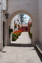 ruelle santa catalina mur blanc fleur rouge couvent arequipa p&eacute;rou