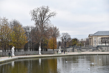 Fototapeta na wymiar Jardin des Tuileries en hiver à Paris, France