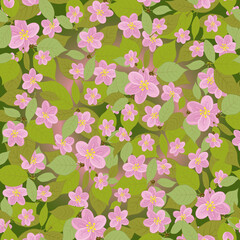 A floral pattern with pink flowers and leaves. Cherry blossoms