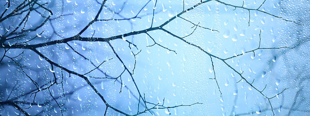 wet glass view of branches park autumn, abstract background drops on the window evening november