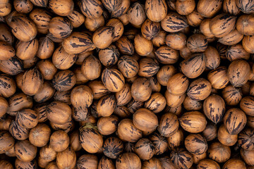many pecan nuts in a box