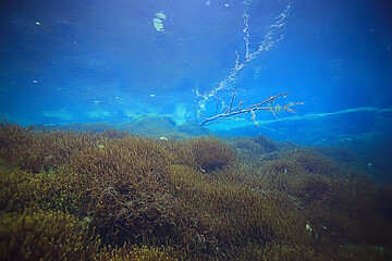 coral reef underwater landscape, lagoon in the warm sea, view under water ecosystem