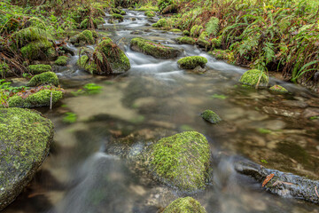Naklejka na ściany i meble natural river of crystalline waters in Poio, Galicia Spain