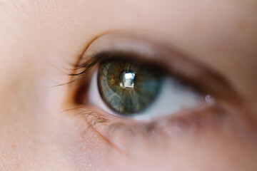 Close up of a hazel green human eye