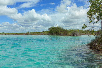 Emerald colored lagoon next to beautiful mangroves