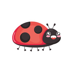 cute ladybug icon, colorful design