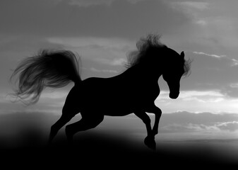 horse silhouette - 398577610