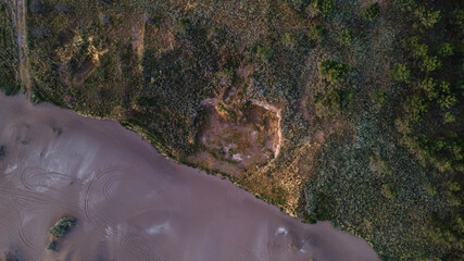 vista aérea de la playa y el bosque